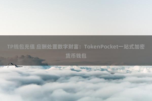 TP钱包充值 应酬处置数字财富：TokenPocket一站式加密货币钱包